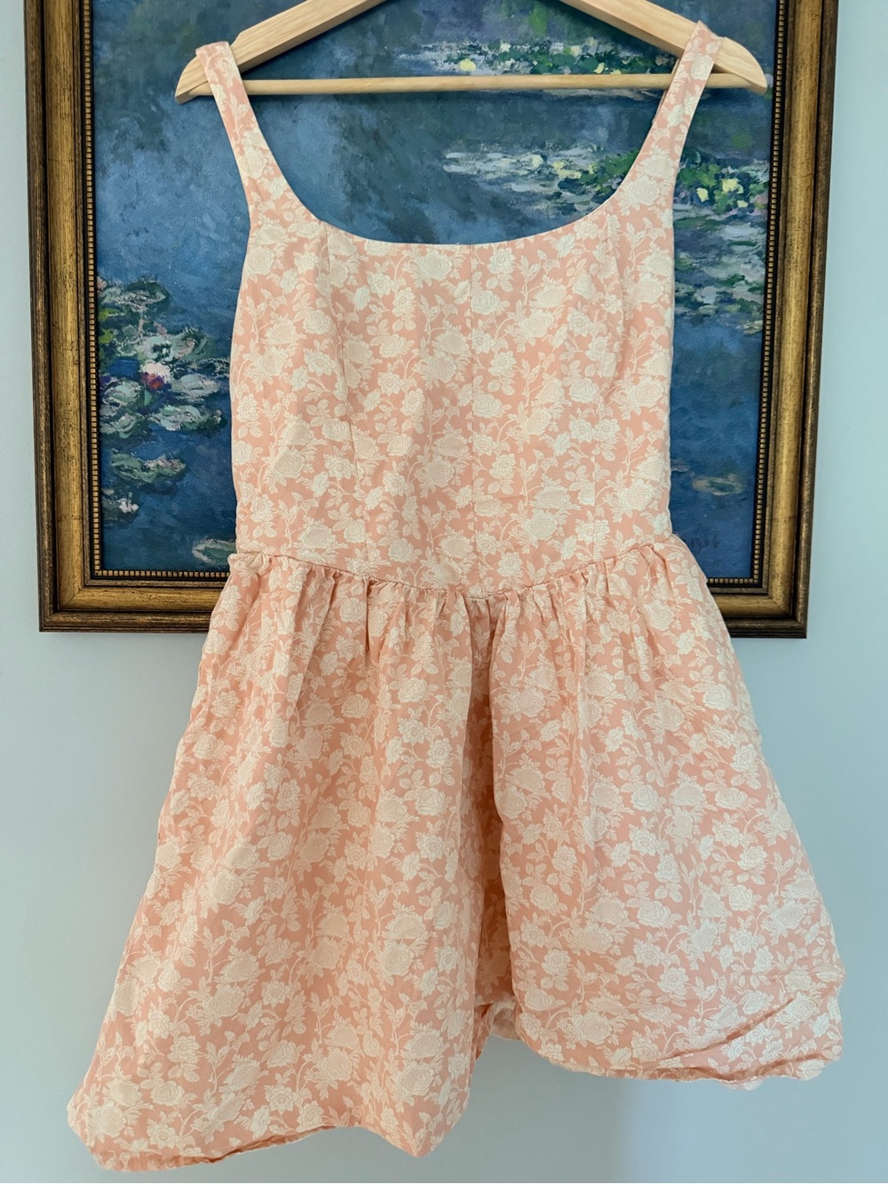 Audrey Parks | Francesca’s Mini Sleeveless Dress Pink Floral